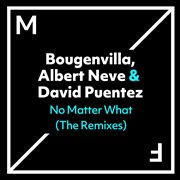 No Matter What (The Remixes) cover image