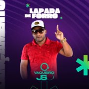 Lapada De Forró cover image