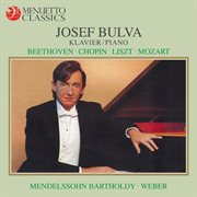 Josef bulva plays concert pieces and sonatas cover image