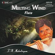 Melting Wind cover image