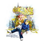 Diamond in the dirt cover image