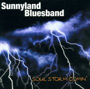 Soul storm comin' cover image