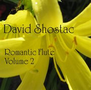 The romantic flute cover image