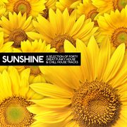 Sunshine (a selection of 40 great funky house and chill house tracks) cover image