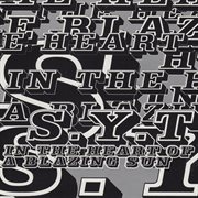 In The Heart Of A Blazing Sun cover image