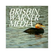 Red necked grebe cover image