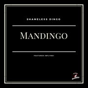 Mandingo (feat. jbflyboi) cover image