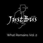What remains, vol. 2 cover image