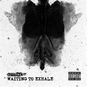 Waiting to exhale cover image