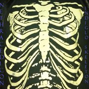 Indiglo skeleton cover image