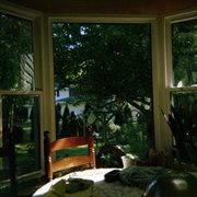 Doing my best cover image