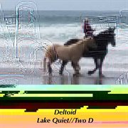 Lake quiet / two d cover image