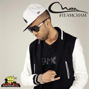 Team Cham cover image