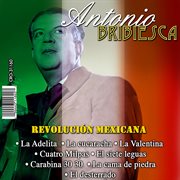 Revolucion mexicana cover image