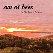 Build a boat to the sun cover image