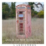 Dull is the new interesting cover image