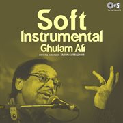 Soft instrumental: ghulam ali cover image