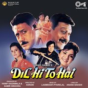 Dil hi to hai (original motion picture soundtrack) cover image