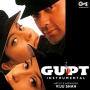 Gupt (instrumental) cover image