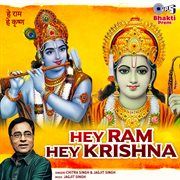 Hey Ram hey Krishna cover image