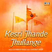 Kesri Jhande Jhullange cover image