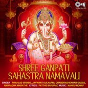 Shree Ganpati Sahashtra Namavali cover image