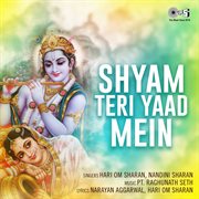 Shyam teri yaad mein (krishna bhajan) cover image