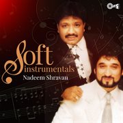 Soft instrumentals: nadeem shravan cover image