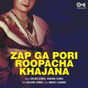Zap Ga Pori Roopacha Khajana cover image
