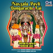 Navsala Pavli Dongarachi Aai cover image