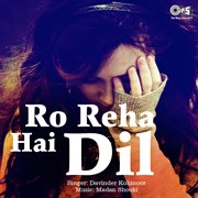 Ro Reha Hai Dil cover image