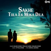 Sakhe Tula Ek Moka Dila cover image