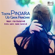 Toota pinjara ud gaya panchhi cover image