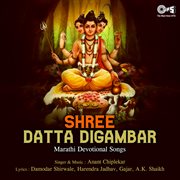 Shree Datta Digambar cover image
