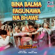 Bina Balma Fagunawa Na Bhawe cover image