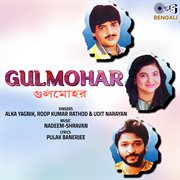 Gulmohar cover image