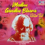 Madhu Gandhe Bhara cover image