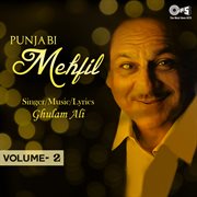 Punjabi Mehfil, Vol. 2 cover image