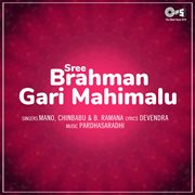 Sree Brahman Gari Mahimalu cover image