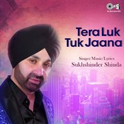Tera Luk Tuk Jaana cover image