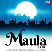 Maula Ali Ali cover image