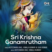 Sri Krishna Ganamrutham cover image