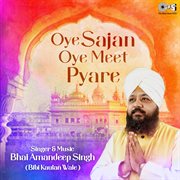 Oye Sajan Oye Meet Pyare cover image