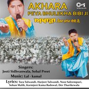 Akhara Peya Bhulekha Bibi Ji cover image