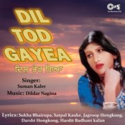 Dil Tod Gayea cover image