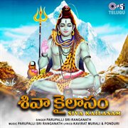 Siva Kailasam (Shiva Mantra) cover image