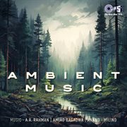 Ambient Music Ambient Music