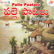 Palle Paatalu cover image