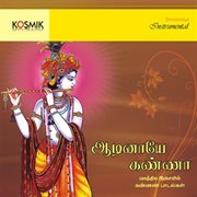Aadinaye kanna : songs on Lord Krishna instrumental cover image
