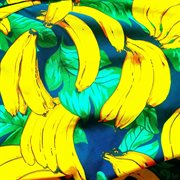 Bananas cover image